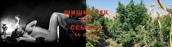 бошки Ельня