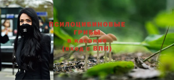 прущая мука Козельск