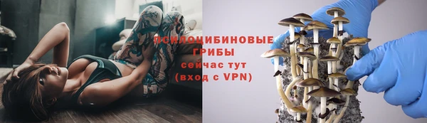 амф Арсеньев