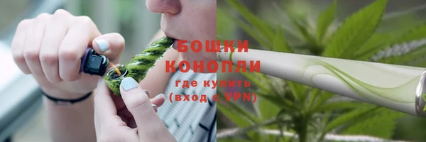 стафф Елизово