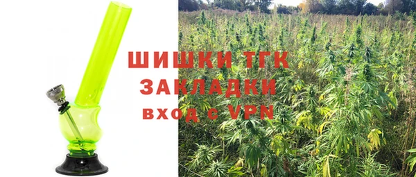 амф Арсеньев