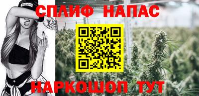 стаф Донской