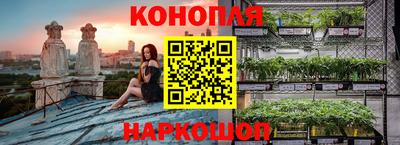 стаф Донской