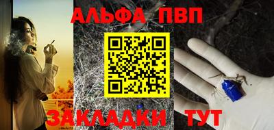 стаф Донской