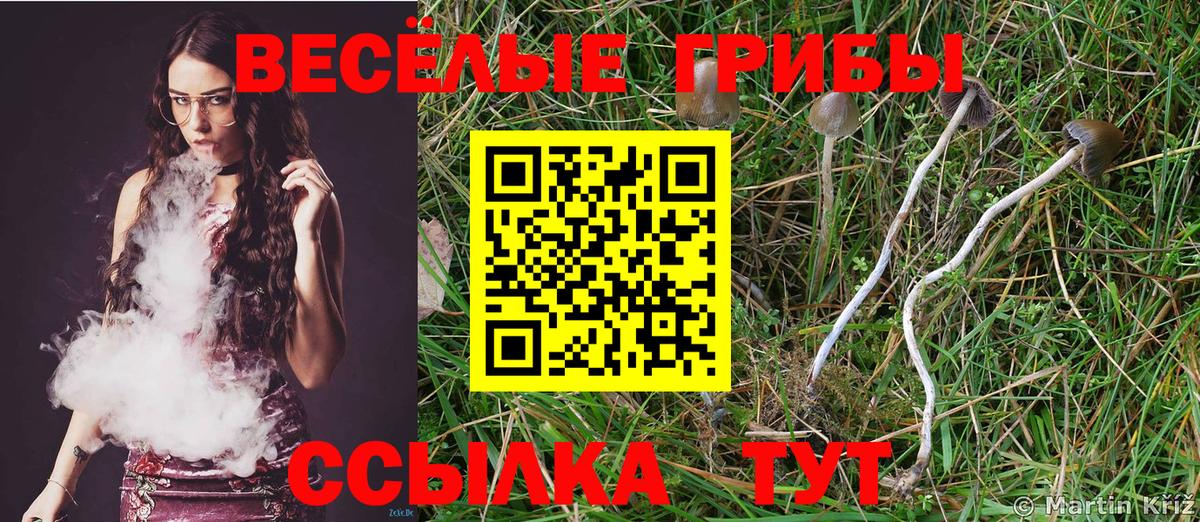 Нурлат  Галлюциногенные грибы ЛСД  Вход с VPN 