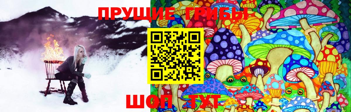 Галлюциногенные грибы Psilocybine cubensis Нурлат
